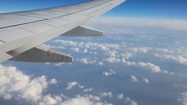 разные видео с музыкой смотреть онлайн