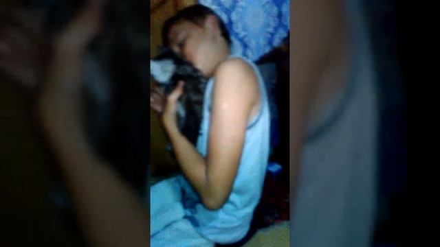 Мы поставили кошку в угол :угар 1#
