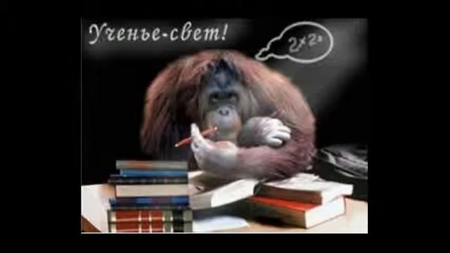 День Студента В Шато Мистик...