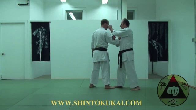 Okinawa Shorin-ryu Karate: Parent Style of Shotokan (clip 10) смотреть онлайн