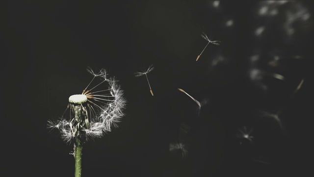 Сын Люцифера. 034 День 32. Клон. Часть 1 из 3