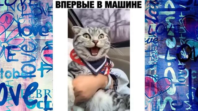 АГОНЬ ПРИКОЛЫ 47  ВСЁ САМОЕ СМЕШНОЕ  убойный юмор ржака