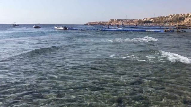 Egypt. Sharks bay. Red sea. Бухта Шаркс бей. Шарм эль Шейх смотреть онлайн