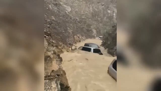 ЛУЧШИЕ ДО СЛЕЗ 2024 / СМЕШНЫЕ ВИДЕО. смотреть онлайн