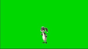 Видеофон гуляющий заяц на зеленом фоне/Videophone walking hare on a green background