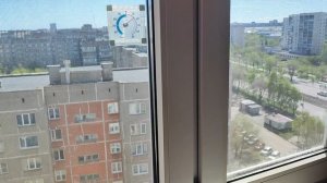 Пёрышки проветривает