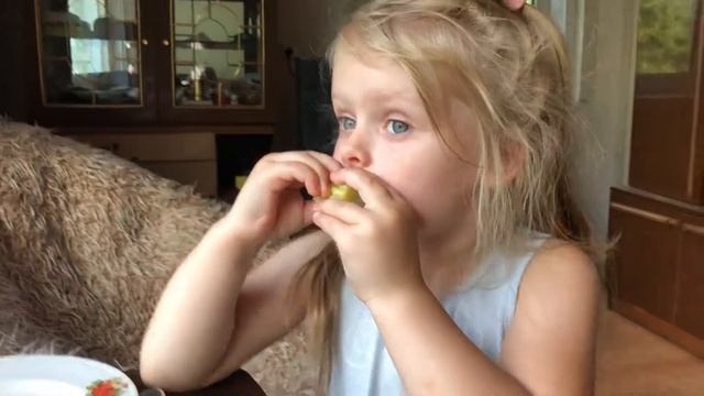 Молодая кукуруза 🌽 созретая смотреть онлайн