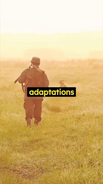 Giant Anteater 🐜🍽️ | 60 Second Animal Facts! #shorts #nature #animals смотреть онлайн