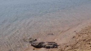 Steigenberger Aldau Beach.Пляж