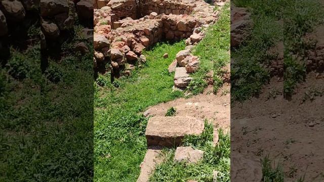 29.04.25. Армения Хор Вирап. смотреть онлайн