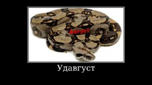 📅 Месяцы + ШИЗА =