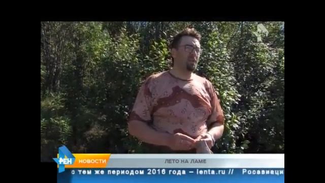 ТРК Северный город. Норильск. Новости. 28 июля 2017 года, 19.00 (пятница) смотреть онлайн