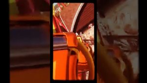 Американские горки. Сочи парк.