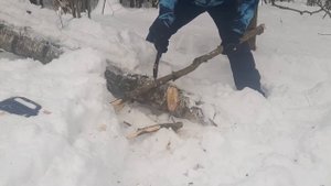Стойкая заводская заточка топора МИША МОЛОТОВ
