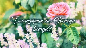 Благодарим ли Господа всегда? | христианский стих