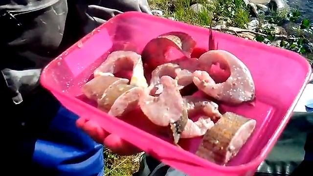 Малосол с первого хариуса р. Народа 2015 смотреть онлайн