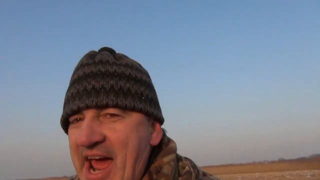 ПРИКОЛЫ НА ОХОТЕ - БЕЛКЕ В ГЛАЗ - СЮФ