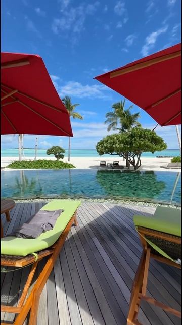 Абсолютно новый Мальдивский резорт 😍 Barcelo Whale Lagoon Maldives 5* Все включено! Пиши в лс смотреть онлайн