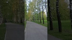 1000461404.mp4 9 мая 2024 АЛЛЕЯ ПАРТИЗАН ПОДМОСКОВЬЯ В ПАРКЕ 50-ЛЕТИЯ  ВЕЛИКОГО ОКТЯБРЯ
