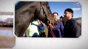 Рамзан Кадыров, проект "Команда" видео #1