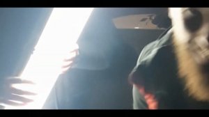 ДаДи- Она Наша