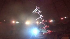 «Галлея» Воздушные гимнасты п/р  Ярославна Водяник