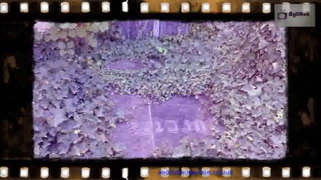 Столица Грузии -солнечный Тбилиси смотреть онлайн