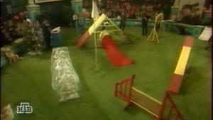 Екатерина Семёнова в программе Дог-шоу "Я и моя собака" примерно 1999 г.