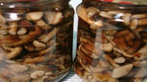 Опята маринованные