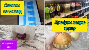 ВЛОГ / Билеты на поезд / Покупки с Вайлдберриз / Пробуем новый фрукт