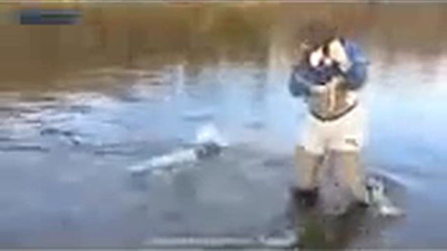 Приколы! Экстрималы неудачники и Девушки на Рыбалке смотреть онлайн