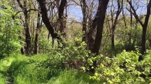 Керчь. Парк Скассиев фонтан, ЖК Образцово 30.04.25