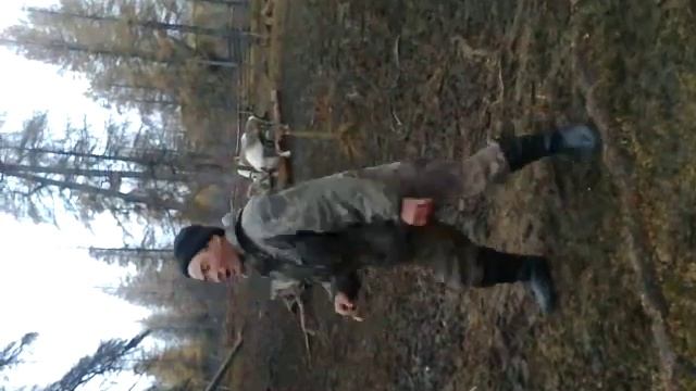 Приколы в лесу смотреть онлайн