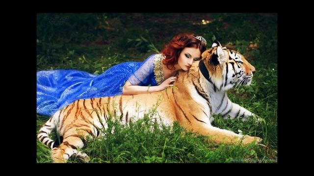 Песня Год Тигра