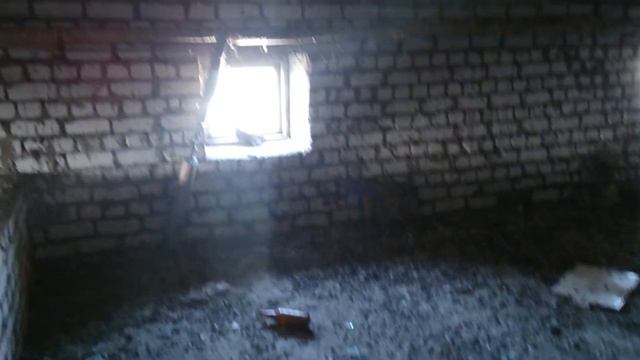 Смешной голубь смотреть онлайн