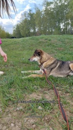 Новая команда освоена