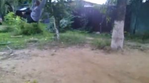 МАЛОЛЕТКИ РАЗВЛЕКАЮТСЯ