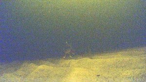 Подводный мир глубина 10 м.  Онежское озеро  Карелия