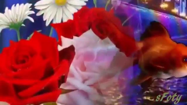 Прикольные видео(12) смотреть онлайн