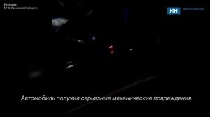 В Ивановской области лось проломил лобовое стекло легкового автомобиля