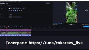 Видео урок как делать Шортс с текстом для ютуба Movavi Video Editor Plus