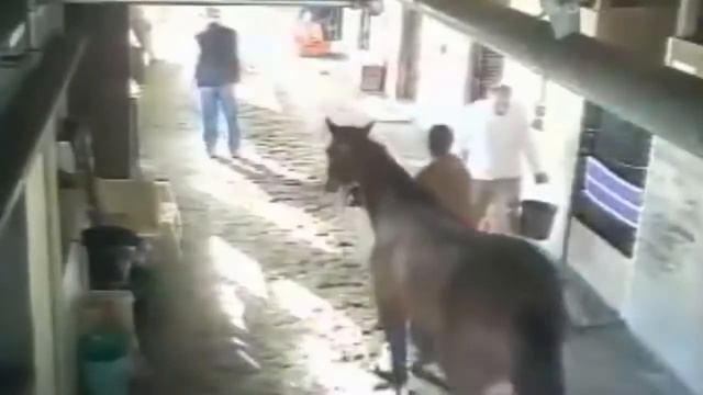 Лошадь кусает проходящего человека смотреть онлайн