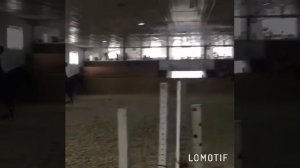 Конноспортивный клуб Держава( пос. Иноземцево) КСК Держава