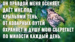 Величит душа моя Бога - минус мой