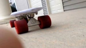 Fish Skateboard Review