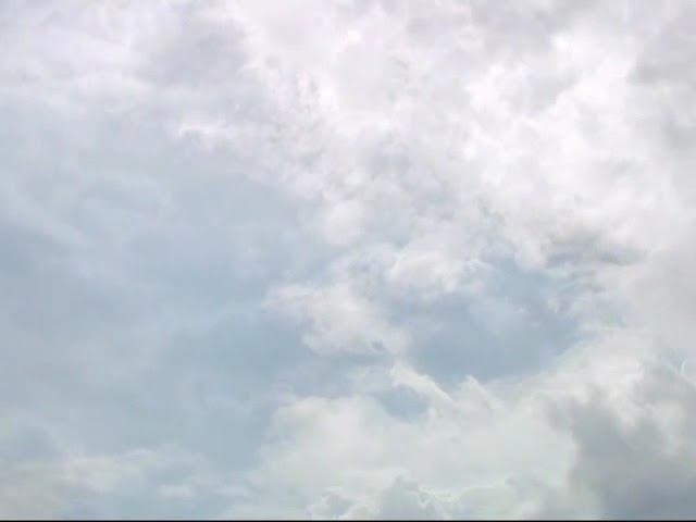 Андрей Вознесенский. Владислав Витковский. Не исчезай смотреть онлайн