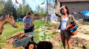 ЖИЗНЬ В СЕЛЕ. На заброшенном участке сажаем огромный сад из плодовых деревьев. Готовимся к стройке