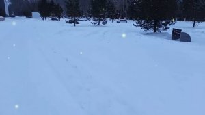 Свекровь решила подарить свою квартиру младшей дочери и переехать жить к нам...