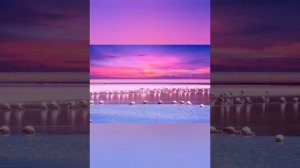 Алёна Свиридова "Розовый Фламинго" #свиридова