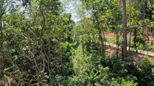 Hanuman World Phuket. Самый крутой веревочный парк на Пхукете! Мы были в восторге! 9.01.2024